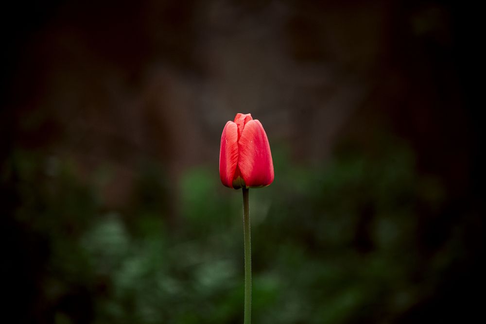 Photograph by Алексей