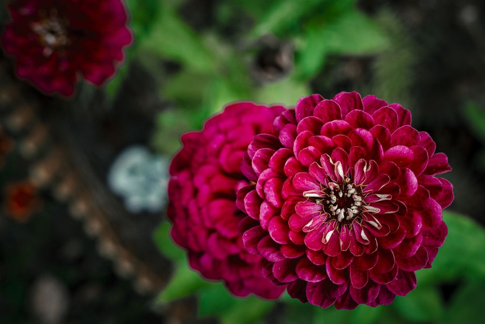 Photograph by Алексей