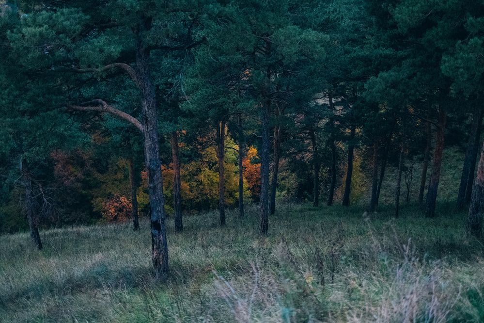 Photograph by Екатерина Кваша