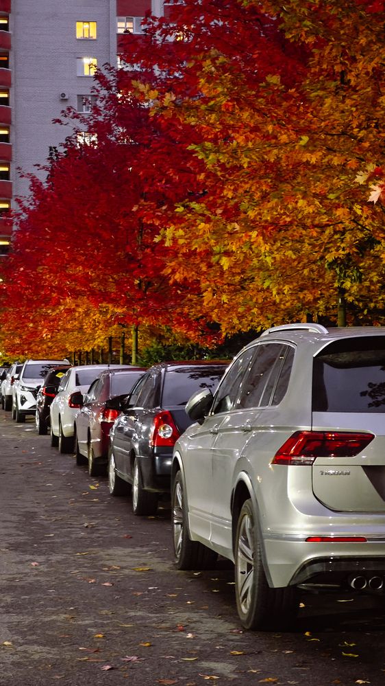 Photograph by Екатерина Кваша