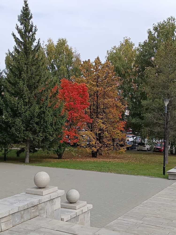 Фотография автора Елена Колышева