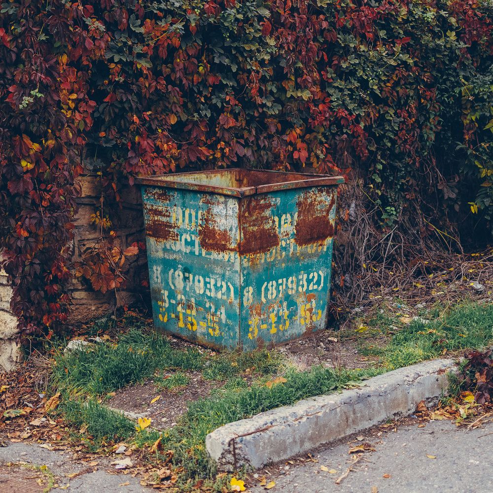 Photograph by Екатерина Кваша