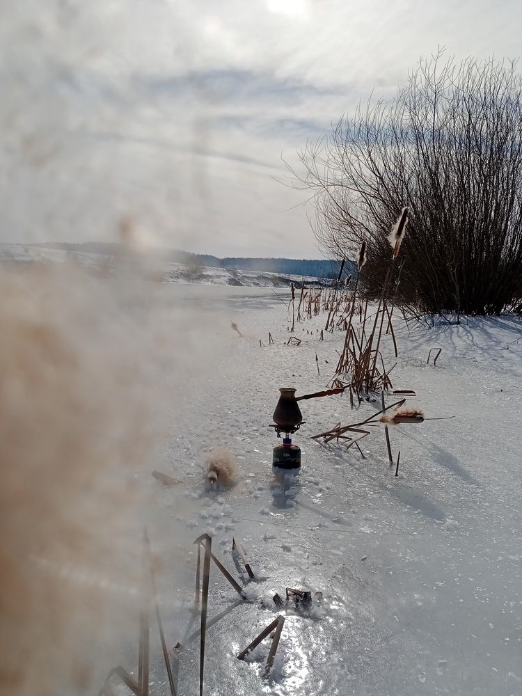 Photograph by Мария Бобылева