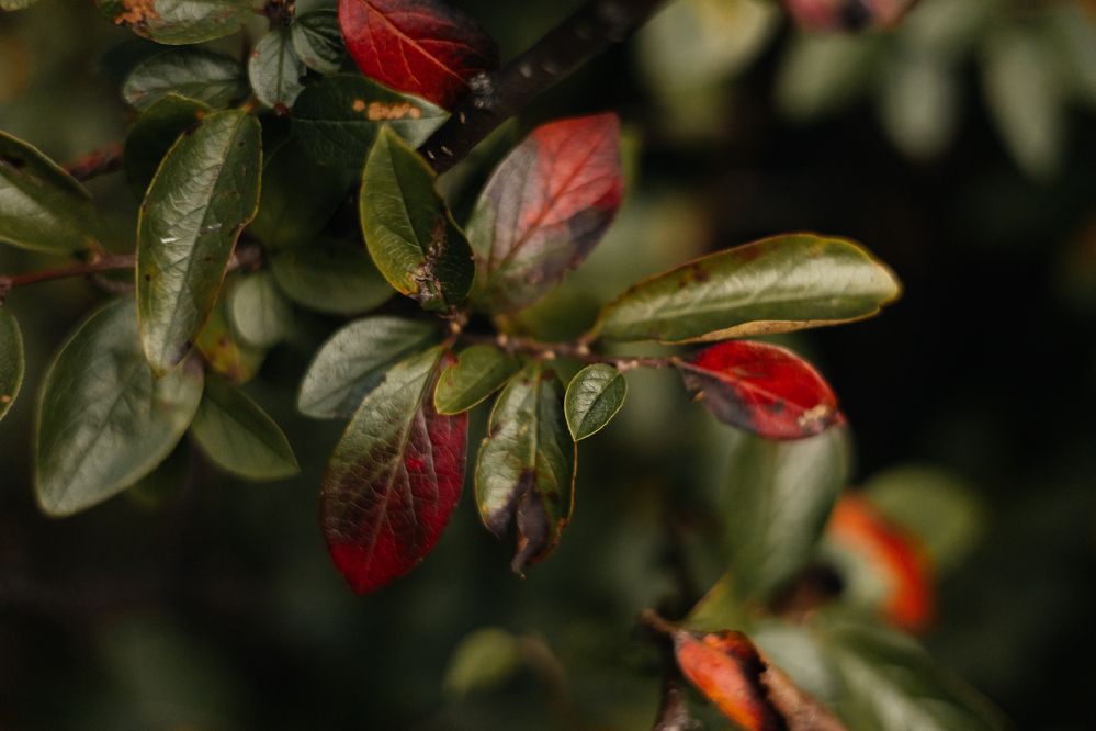 Photograph by Наталия Софич