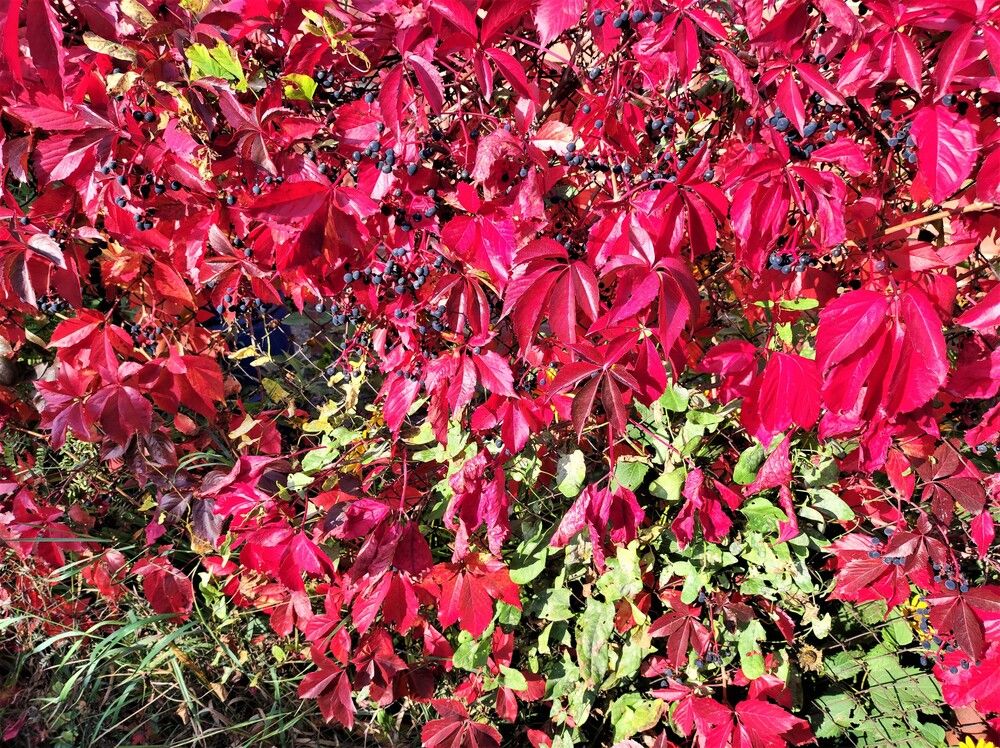 Photograph by Галина