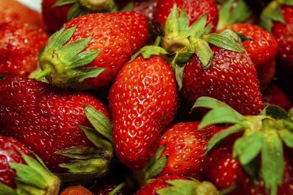 Photograph by Евгений Киселев