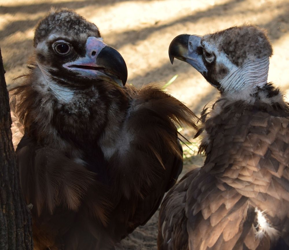 Photograph by Наталья Еременко