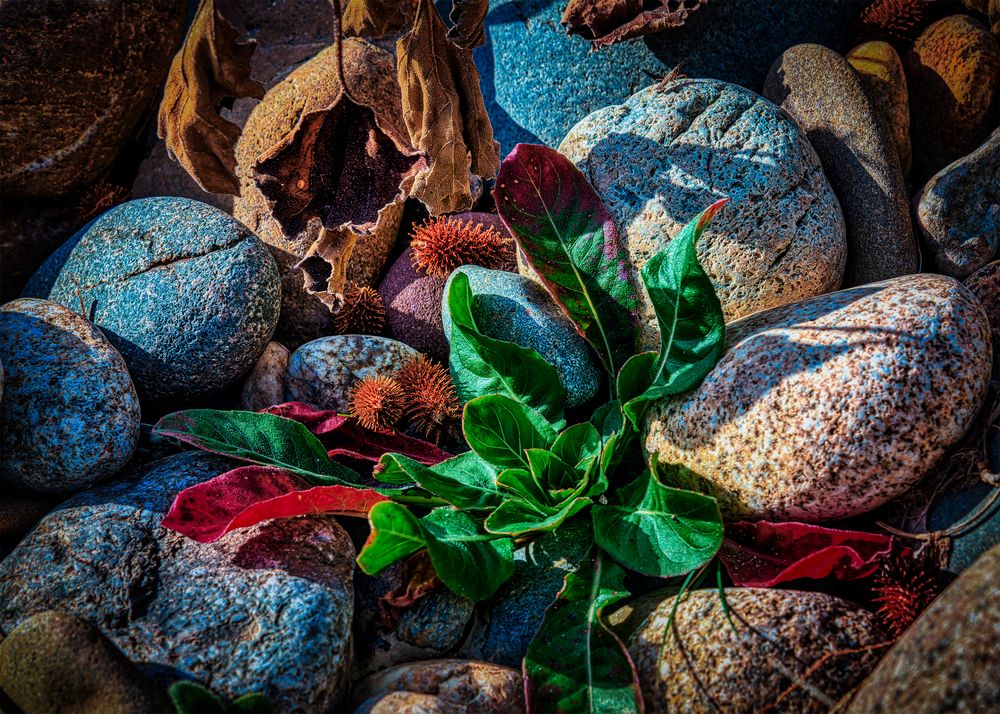 Photograph by Владимир Кваша