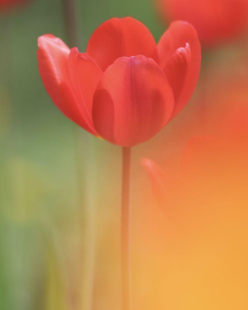 Photograph by Затямин Александр