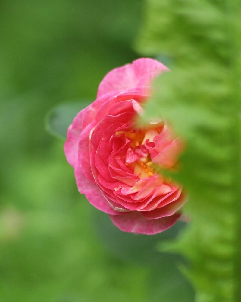 Photograph by Затямин Александр