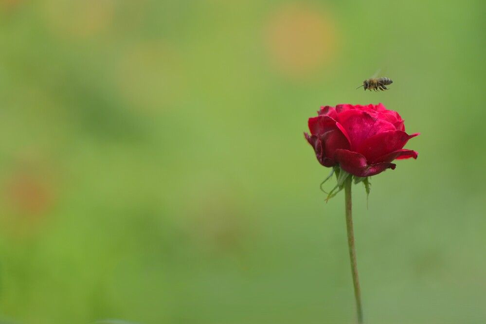 Photograph by Затямин Александр