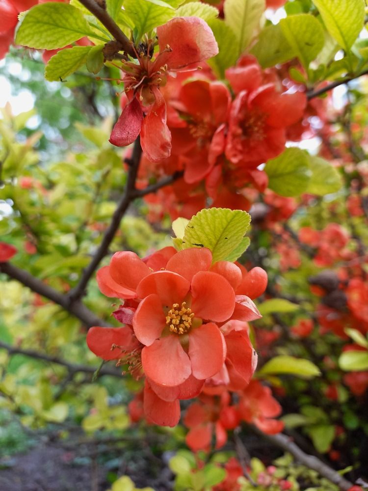 Photograph by Людмила Сотникова