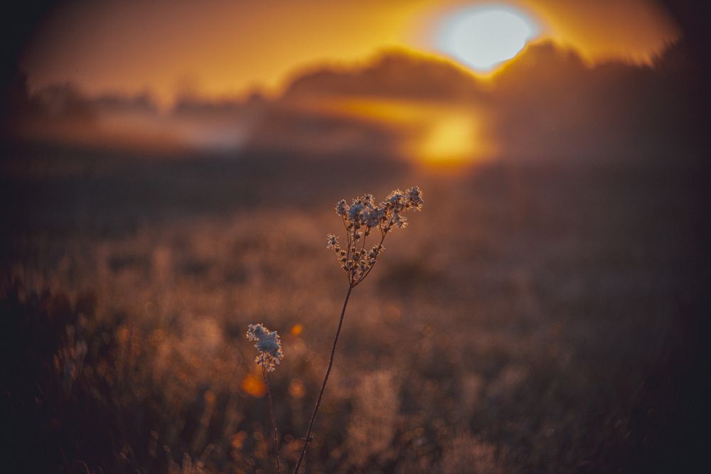 Photograph by Алексей