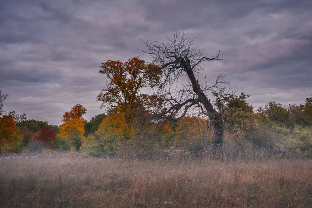 Photograph by Алексей