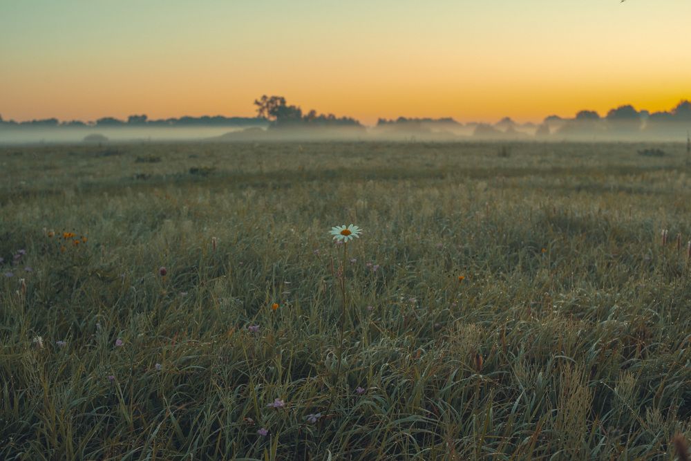 Photograph by Алексей