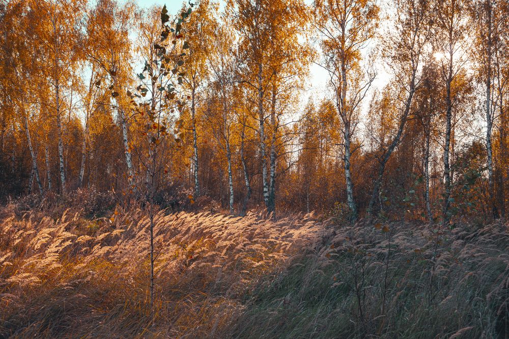 Photograph by Алексей