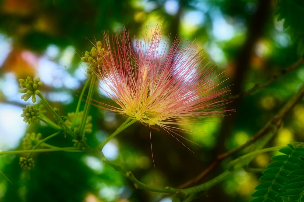 Photograph by Владимир Кваша
