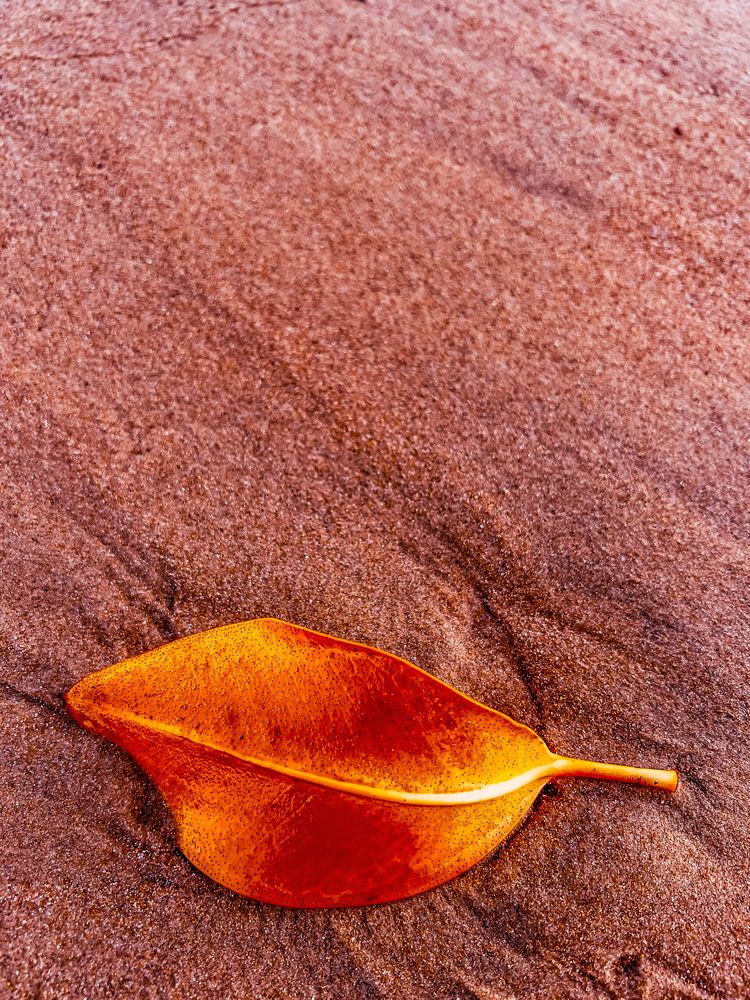 Photograph by Trivet Antony