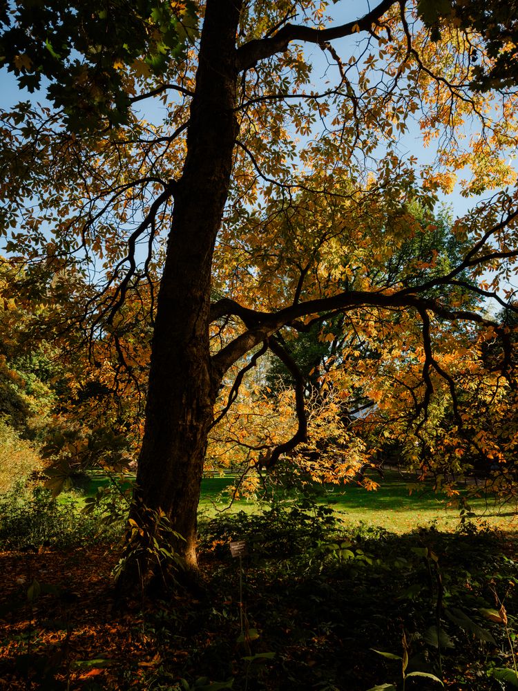 Photograph by Elizabeth B.