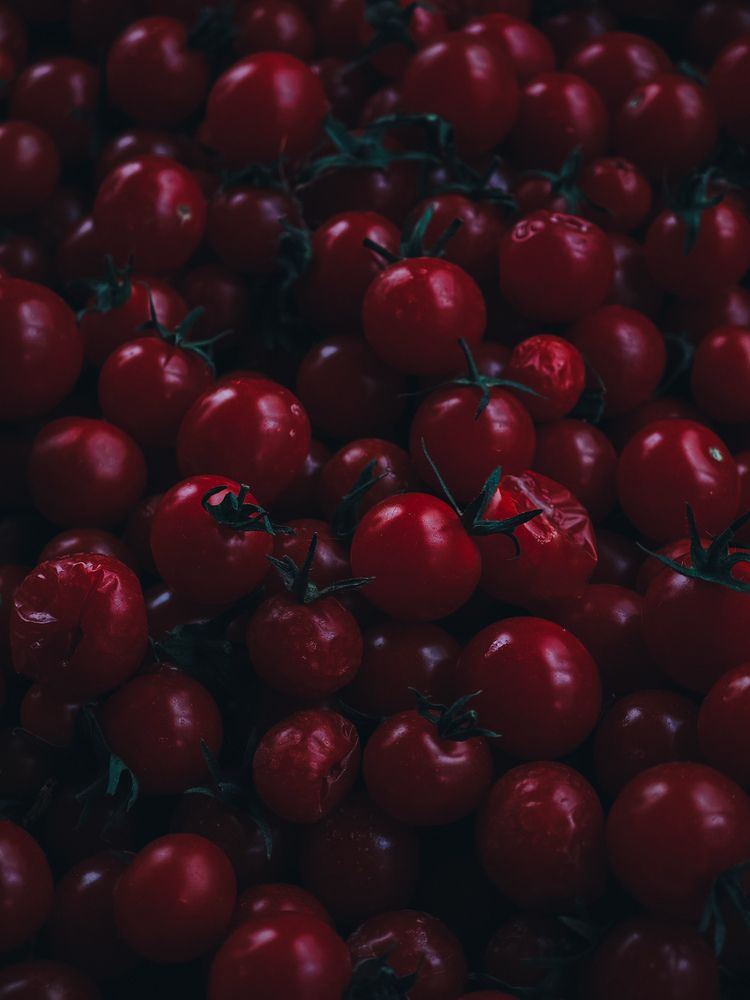 Photograph by Екатерина Кваша