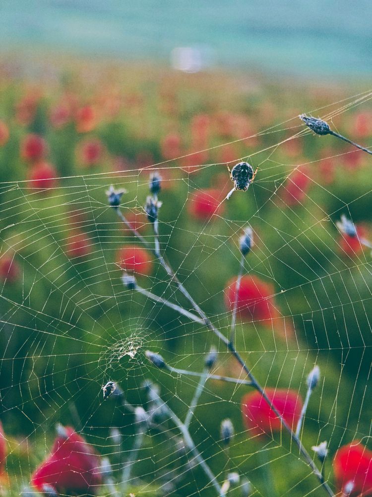 Photograph by Екатерина Кваша