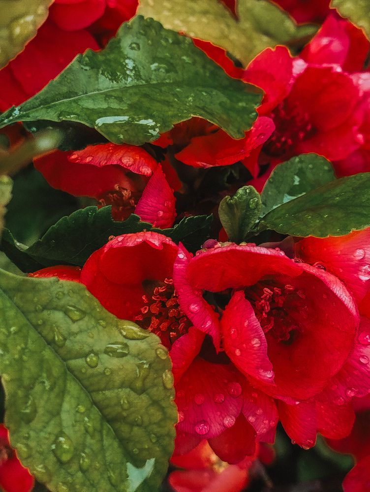 Photograph by Виктория Дудкина