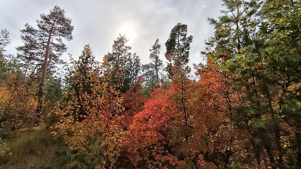 Photograph by Фаина Мирошниченко