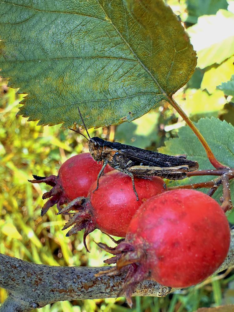 Photograph by Елена Чулюнина