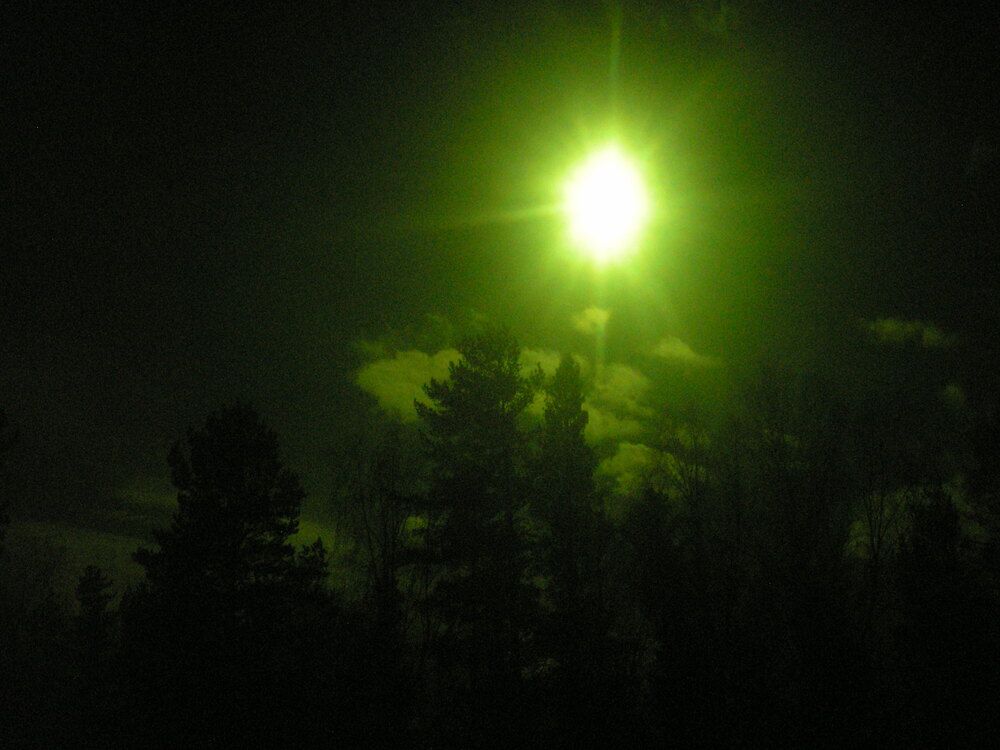 Photograph by Дмитрий Маслов