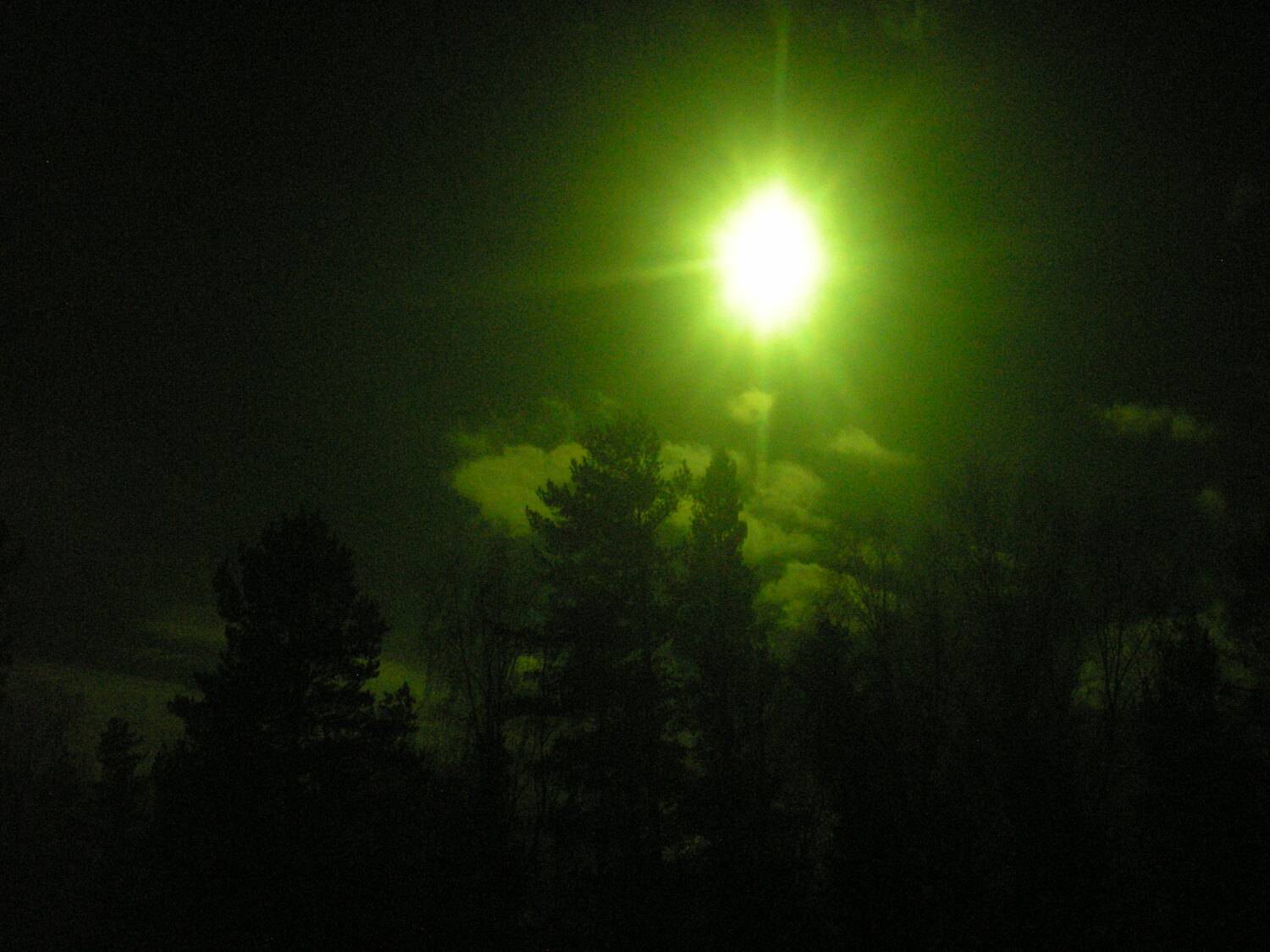 Photo #12739866