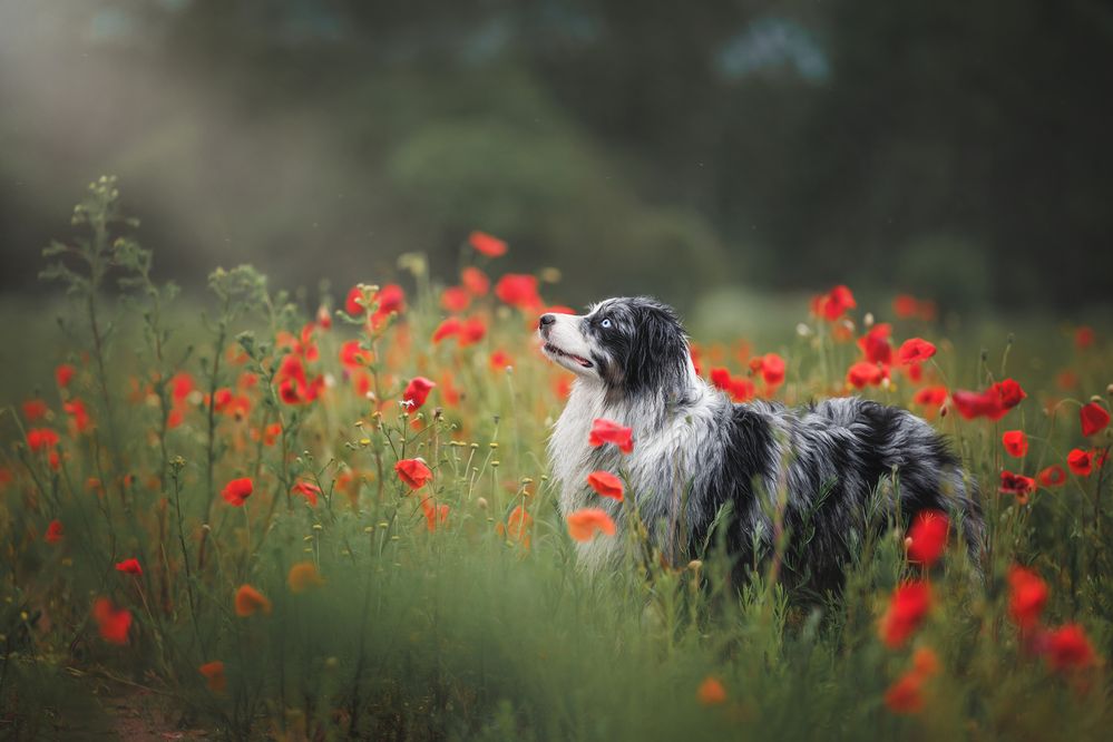 Photograph by Яна Нарбутович