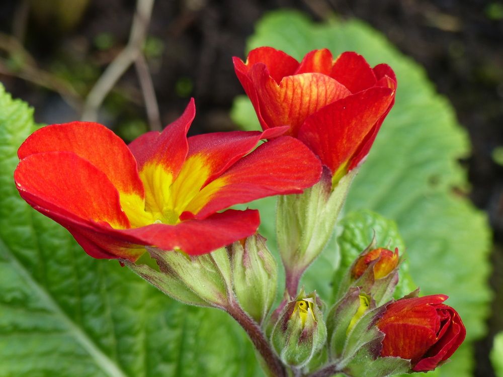 Photograph by Isabella Northrop