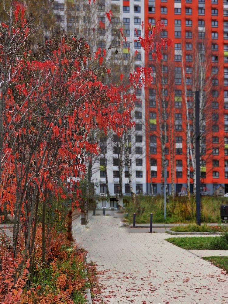 Photograph by Ольга Захарикова