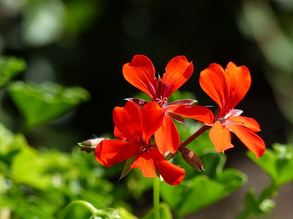 Photograph by Isabella Northrop