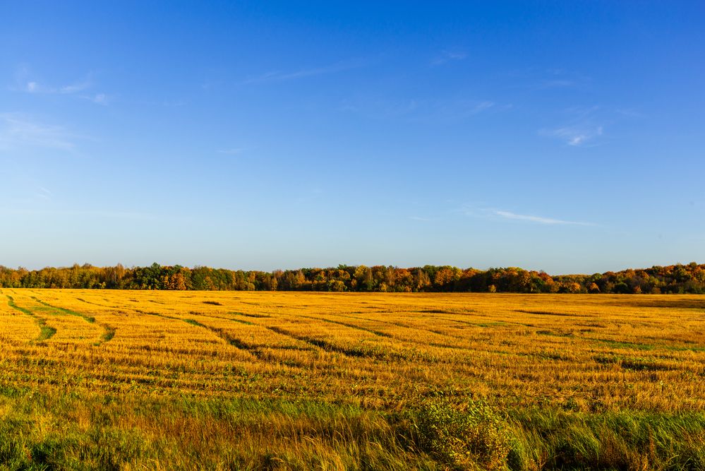 Photograph by YURIY TSARENKO