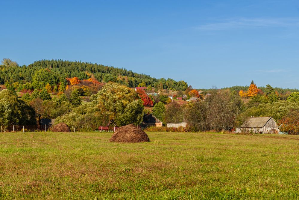 Photograph by YURIY TSARENKO