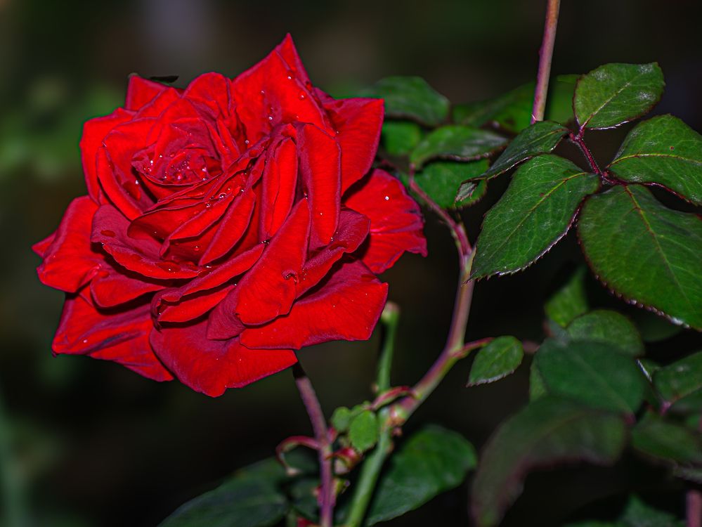 Photograph by Михаил Измайлов