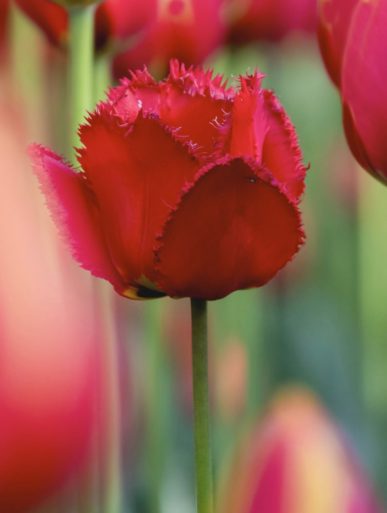 Photograph by Валентина Куренкова