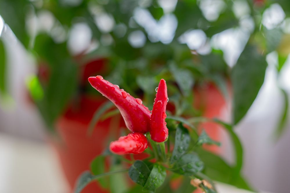 Photograph by Виталий Са