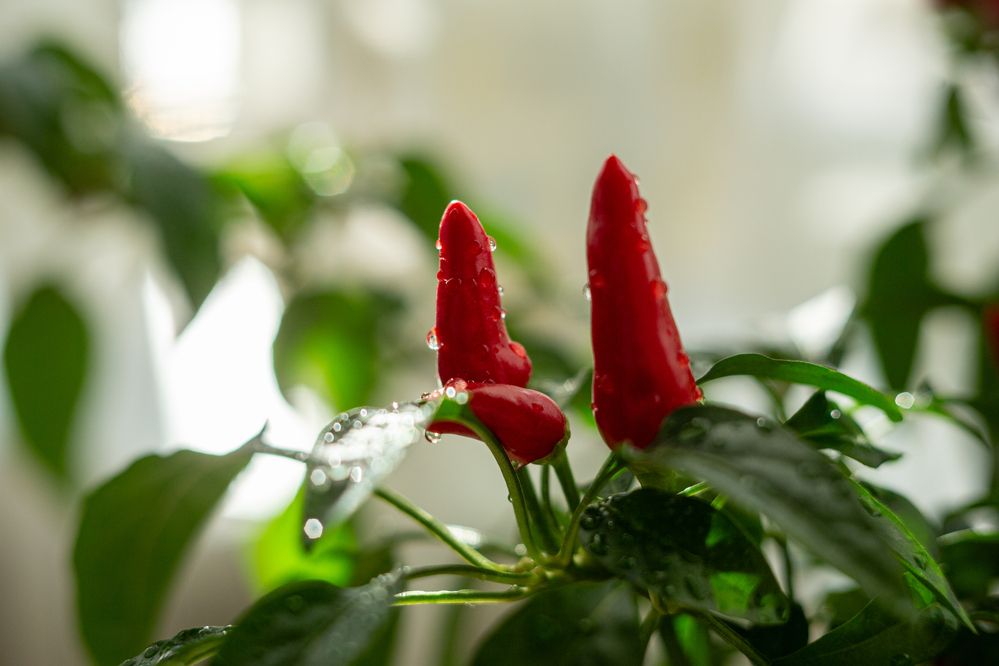 Photograph by Виталий Са