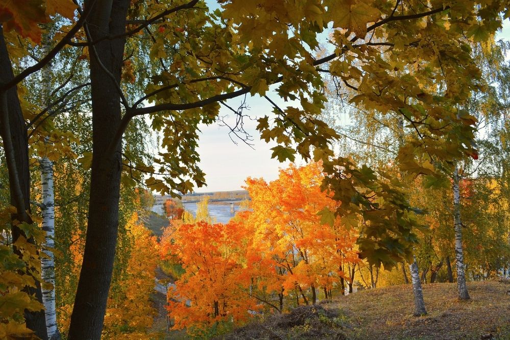 Photograph by София Бояринцева
