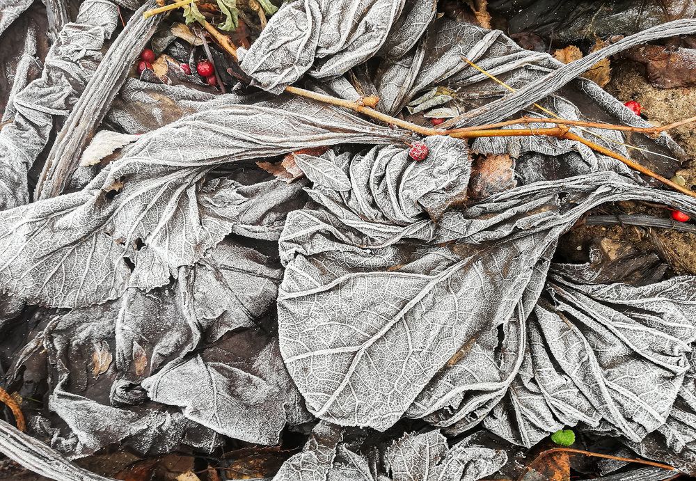 Photograph by Галина Юдина