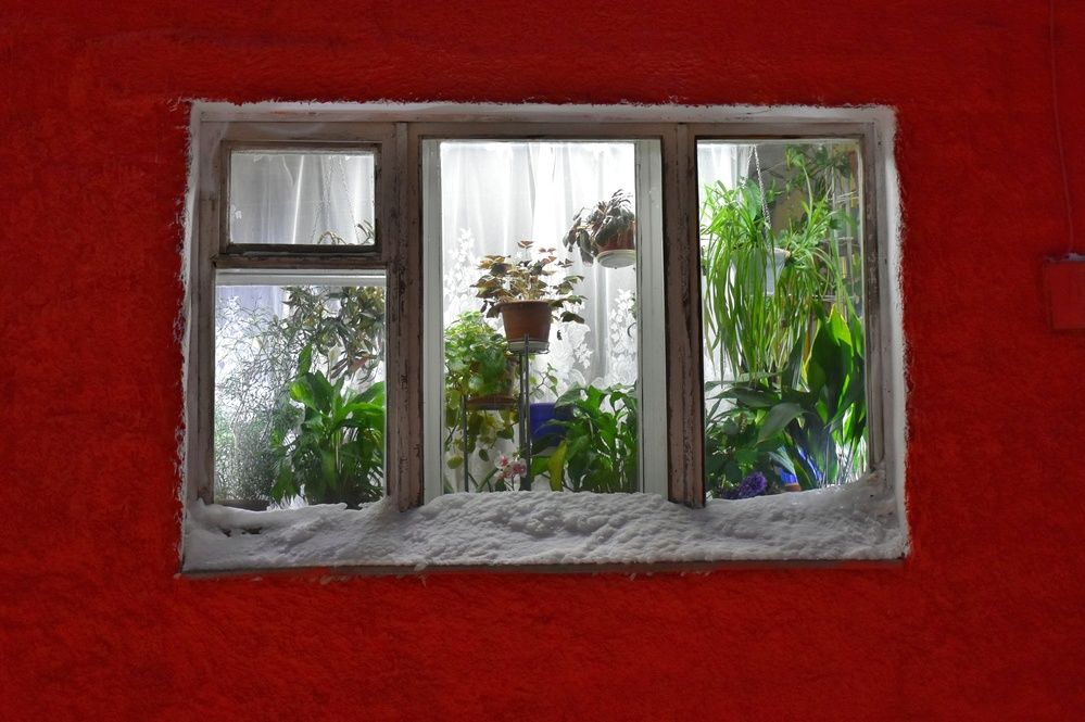 Photograph by Нина Кольман