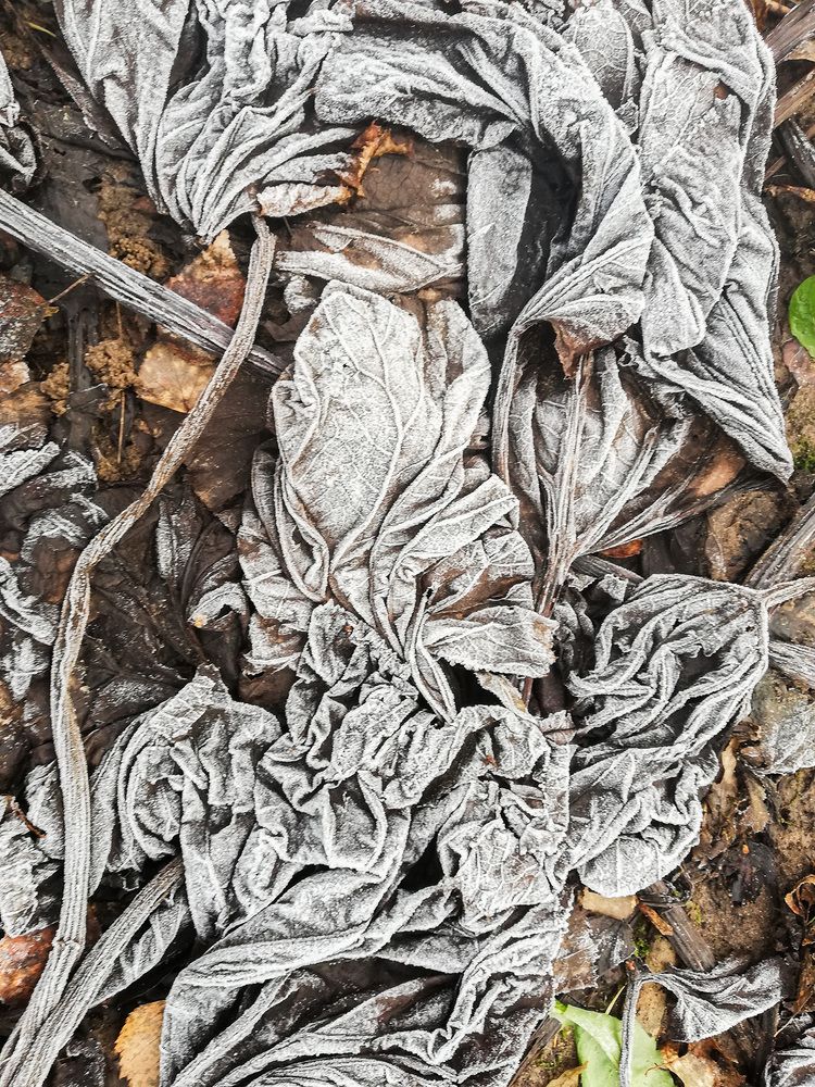 Photograph by Галина Юдина