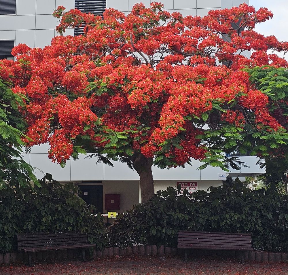 Фотография автора Oksana Podgorodetska