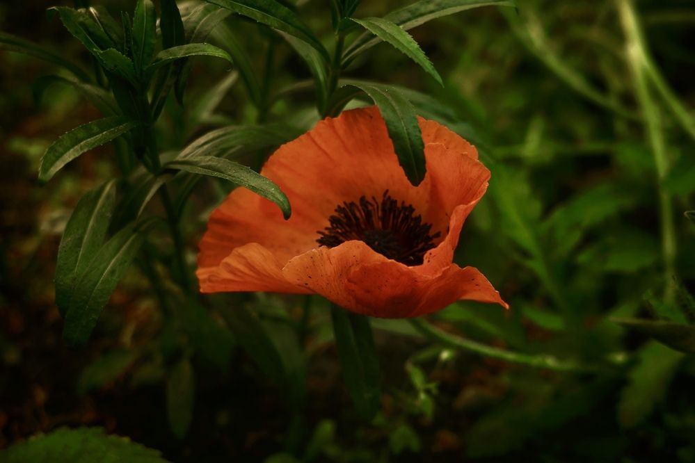 Photograph by Яна Егорова