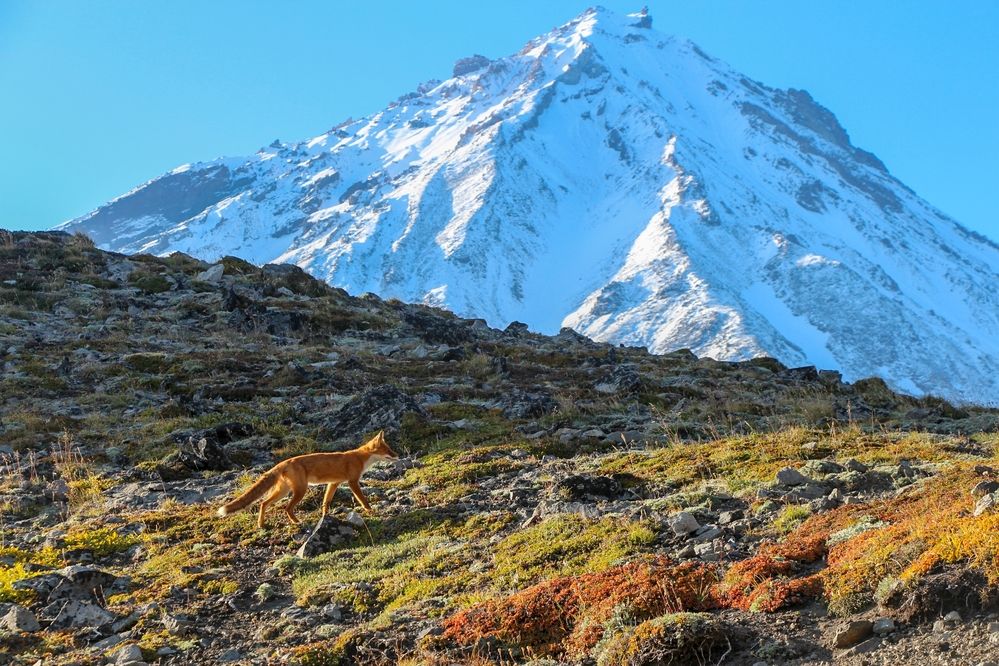 Photograph by Рыков Андрей