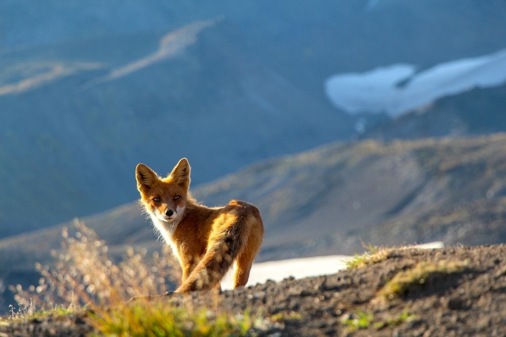 Photograph by Рыков Андрей