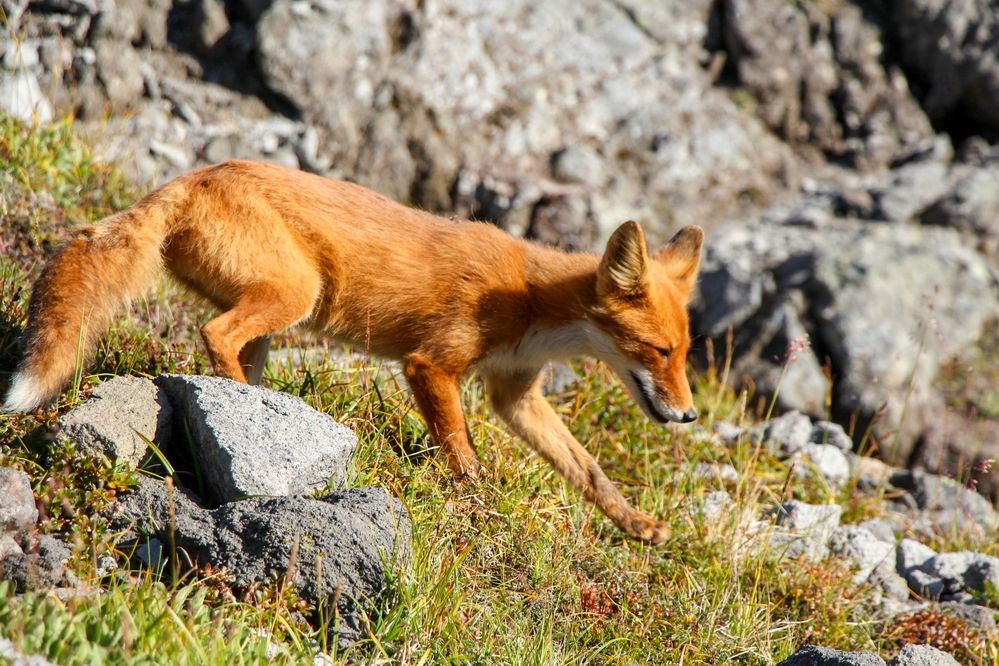 Photograph by Рыков Андрей