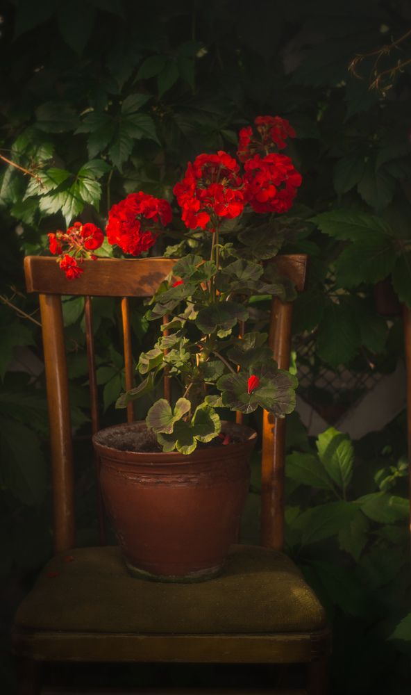 Photograph by Екатерина Вспышкина